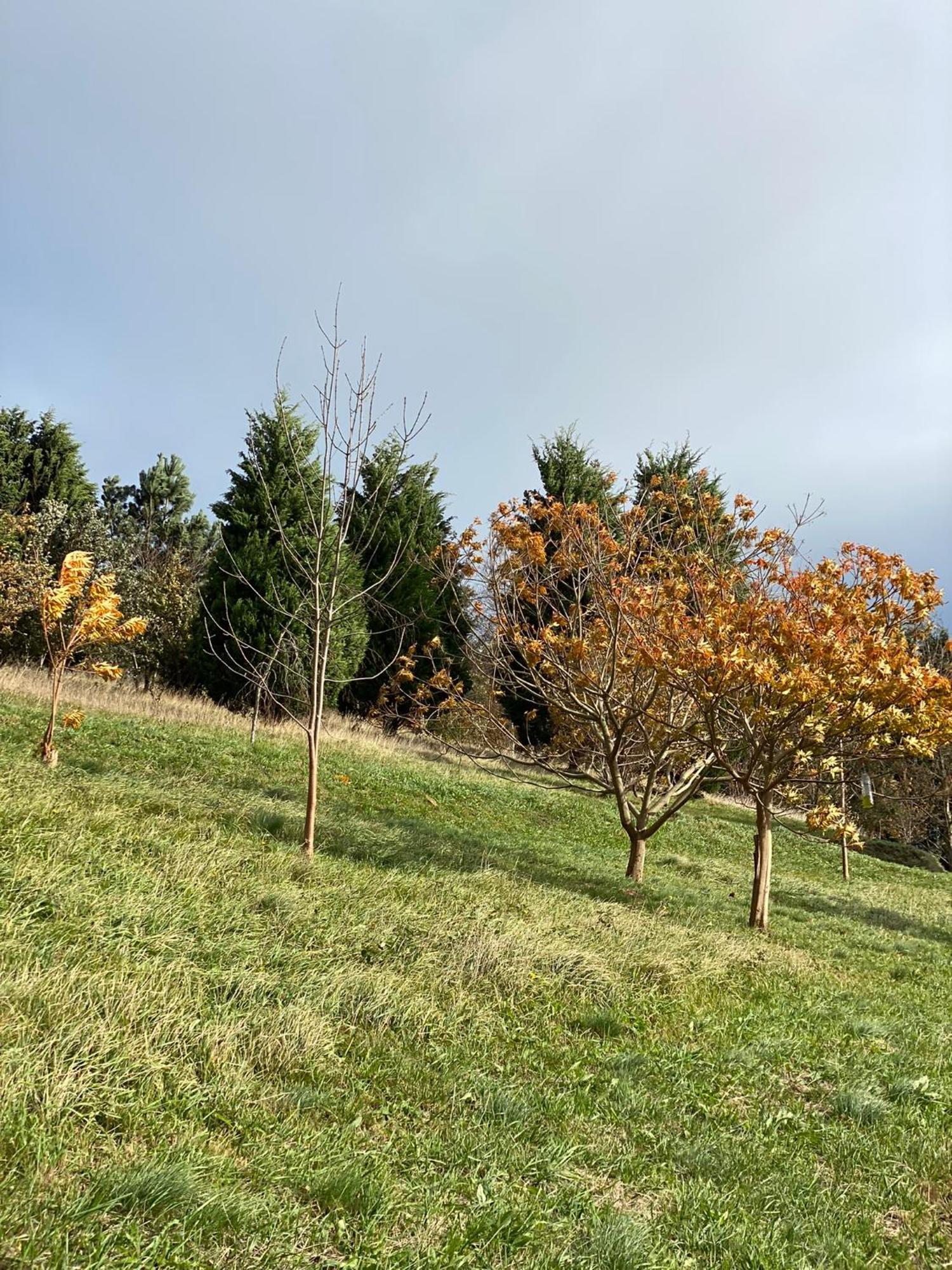 Portizuelo Luarca